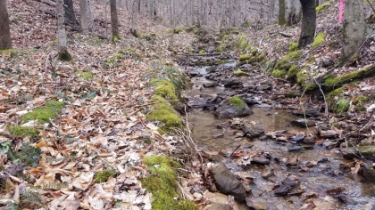 Wildcat Ridge - Phase 4 - Tract 5