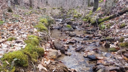 Wildcat Ridge - Phase 4 - Tract 5