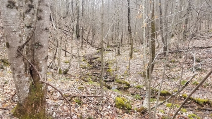 Wildcat Ridge - Phase 4 - Tract 5