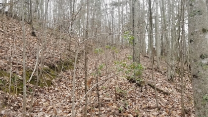 Wildcat Ridge - Phase 4 - Tract 5