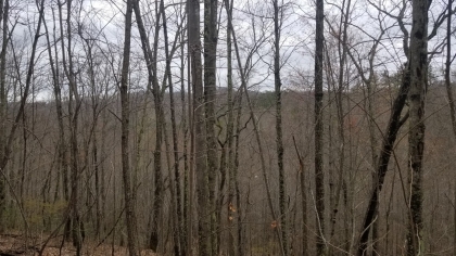 Wildcat Ridge - Phase 4 - Tract 5