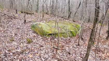 Wildcat Ridge - Phase 4 - Tract 5