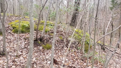 Wildcat Ridge - Phase 4 - Tract 5