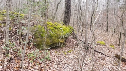 Wildcat Ridge - Phase 4 - Tract 5