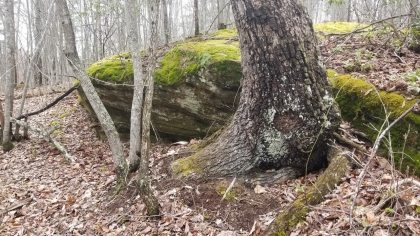 Wildcat Ridge - Phase 4 - Tract 5