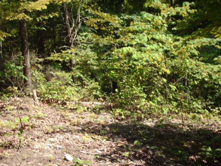 Bolinger Rd Tract 1A