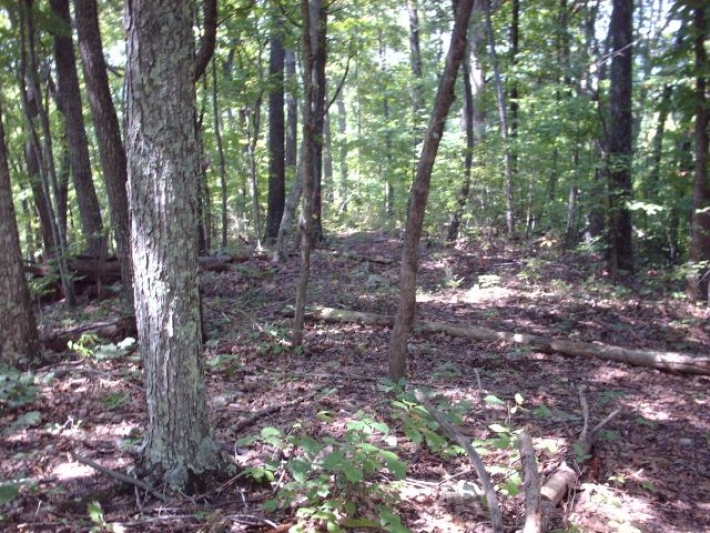 Bolinger Rd Tract 1A