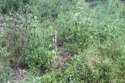 Belgin's Run Tract 8B