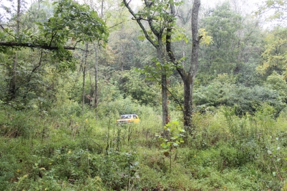 Belgin's Run Tract 8B