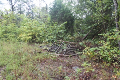 Belgin's Run Tract 8B
