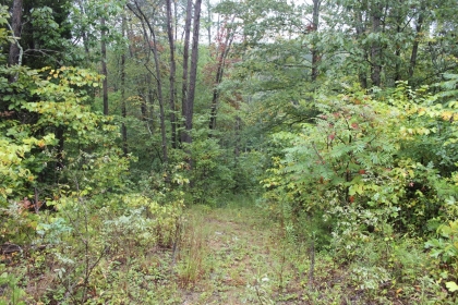 Belgin's Run Tract 8B