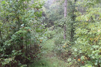 Belgin's Run Tract 8B