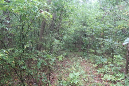 Belgin's Run Tract 8B
