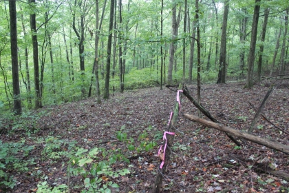Belgin's Run Tract 8B