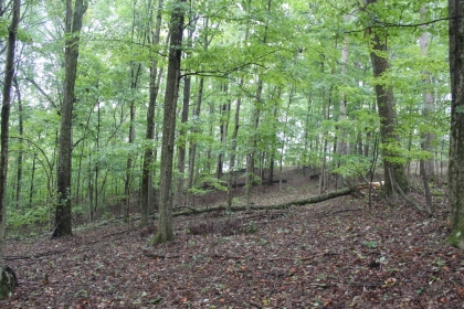 Belgin's Run Tract 8B
