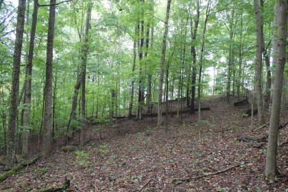 Belgin's Run Tract 8B