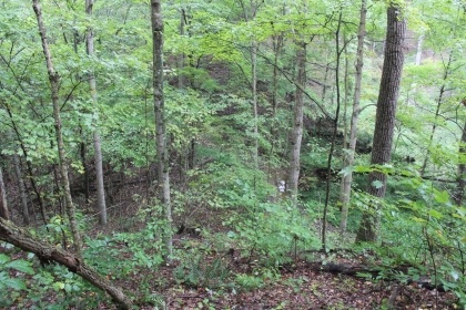 Belgin's Run Tract 8B