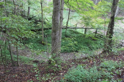 Belgin's Run Tract 8B