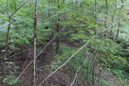 Belgin's Run Tract 8B