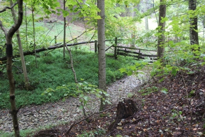 Belgin's Run Tract 8B