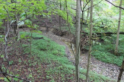 Belgin's Run Tract 8B