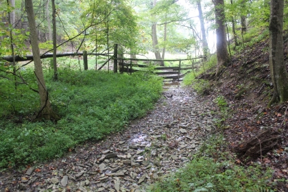 Belgin's Run Tract 8B