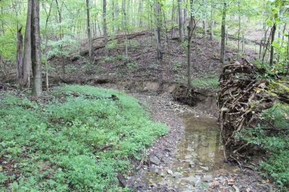 Belgin's Run Tract 8B