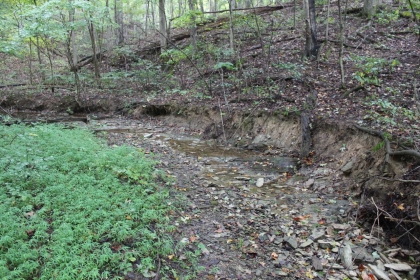 Belgin's Run Tract 8B