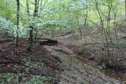 Belgin's Run Tract 8B