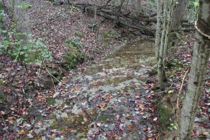 Belgin's Run Tract 8B