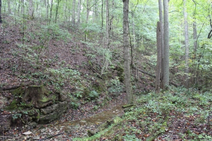 Belgin's Run Tract 8B