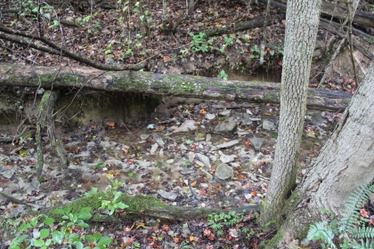 Belgin's Run Tract 8B