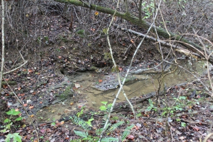 Belgin's Run Tract 8B