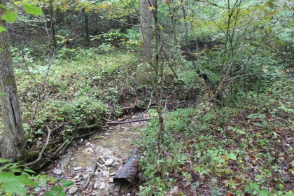 Belgin's Run Tract 8B