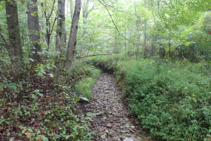 Belgin's Run Tract 8B