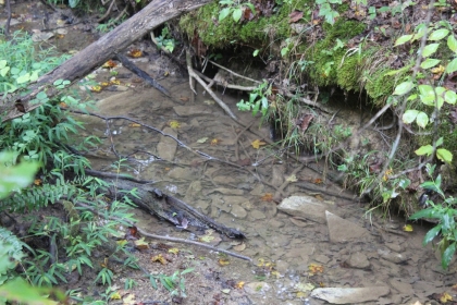 Belgin's Run Tract 8B