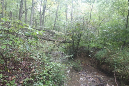 Belgin's Run Tract 8B