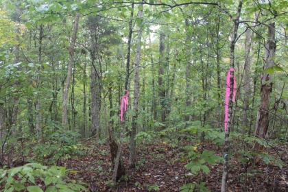 Belgin's Run Tract 8B