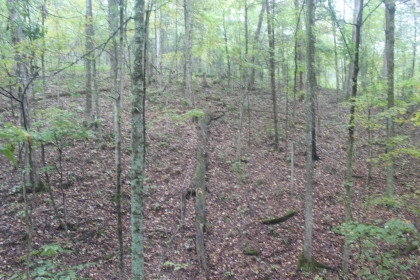 Belgin's Run Tract 8B