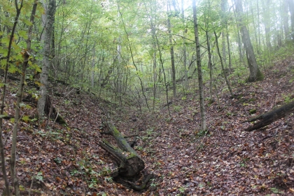Belgin's Run Tract 8B