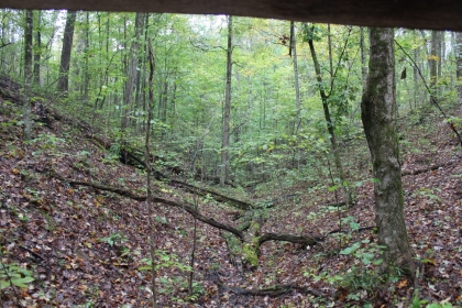 Belgin's Run Tract 8B
