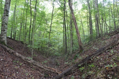 Belgin's Run Tract 8B
