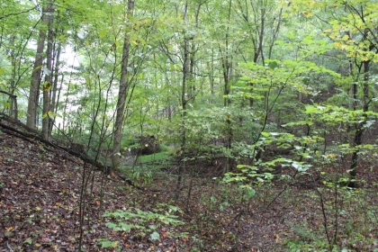 Belgin's Run Tract 8B