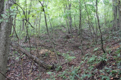 Belgin's Run Tract 8B