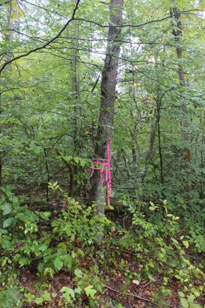 Belgin's Run Tract 8B