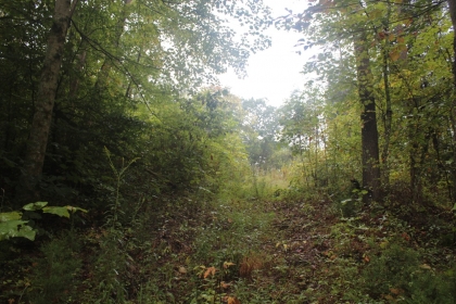 Belgin's Run Tract 8B