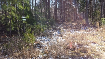 Chestnut Way Tract 3