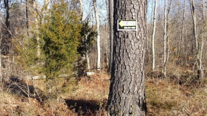 Chestnut Way Tract 3
