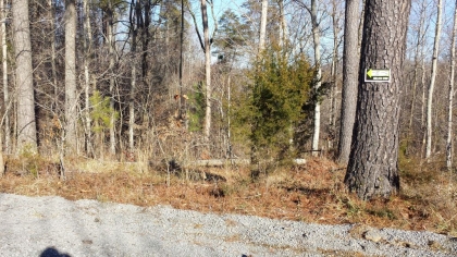 Chestnut Way Tract 3