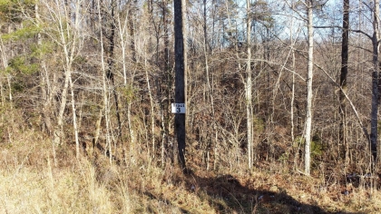 Chestnut Way Tract 3
